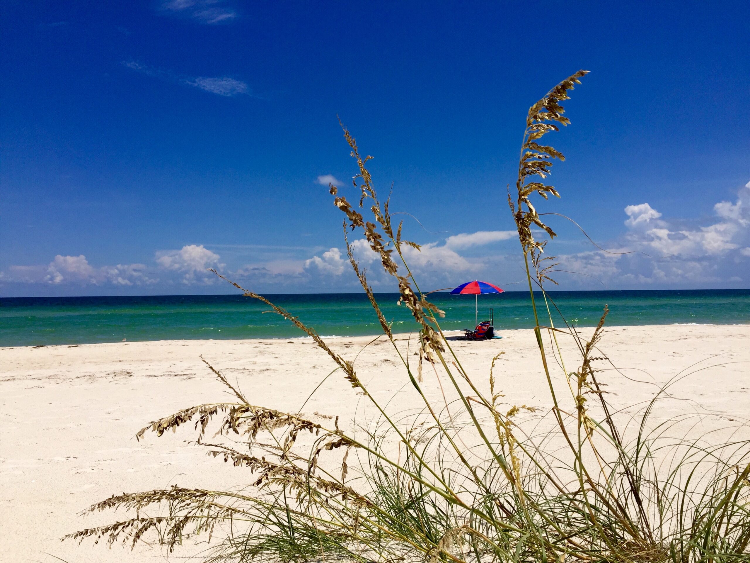 Things to do in Carrabelle, FL.