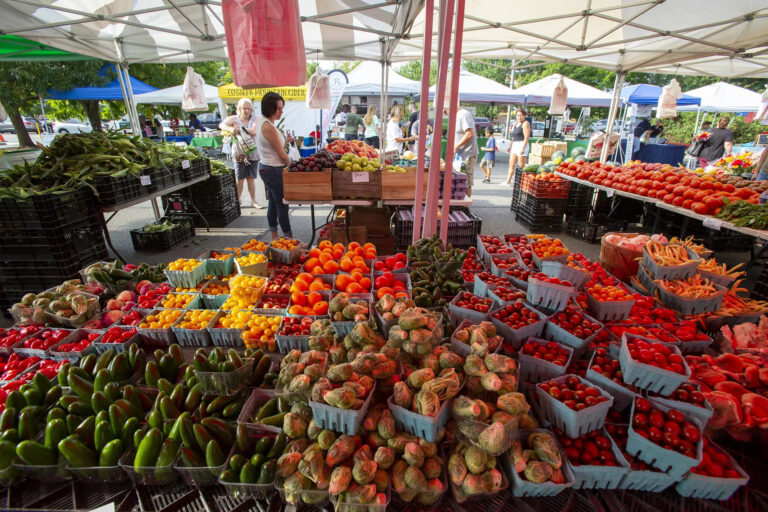22 Best & Fun Things To Do In Rockville, MD (2025) - Chief Tourist