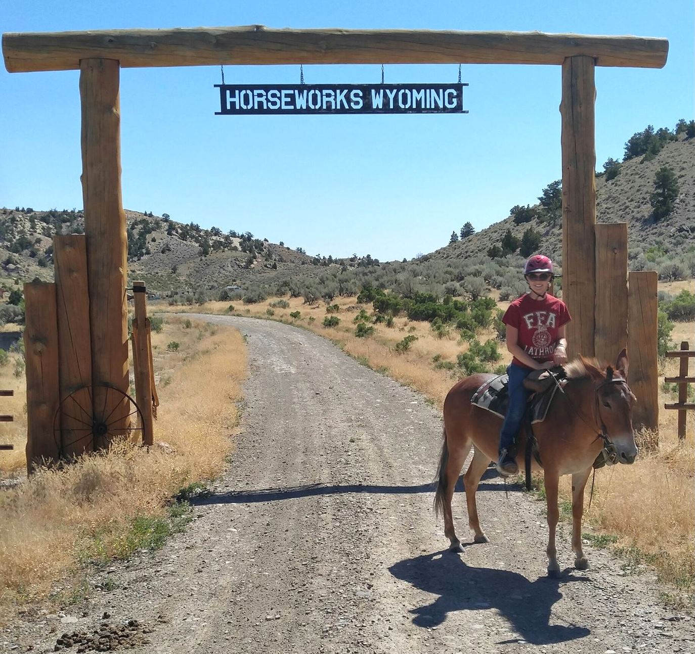 Things to do in Thermopolis, WY
