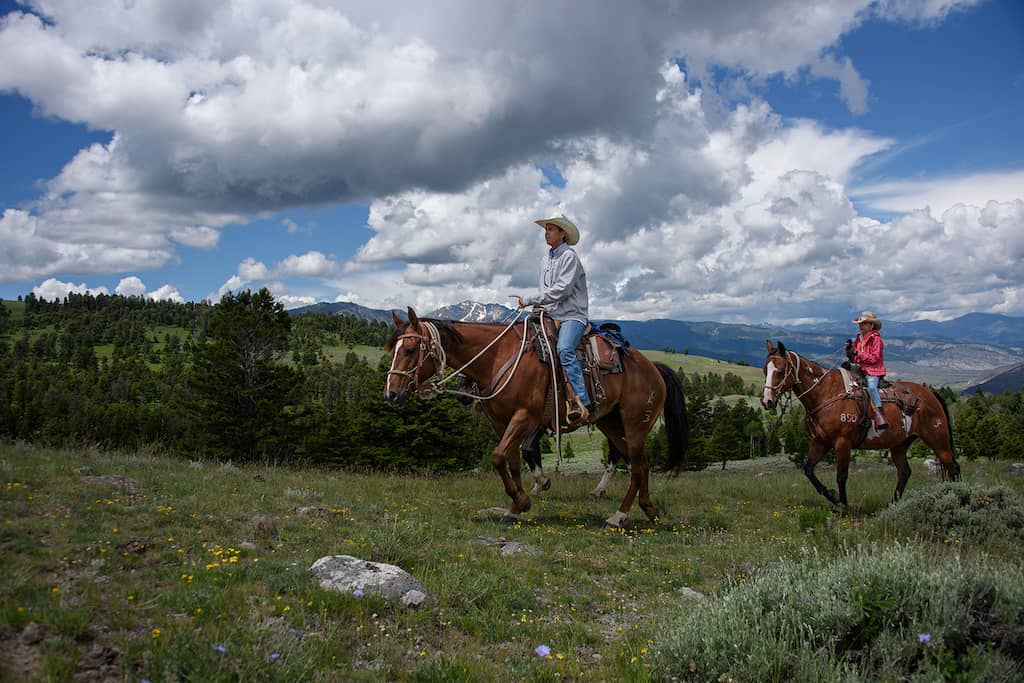 Things to do in Douglas, WY