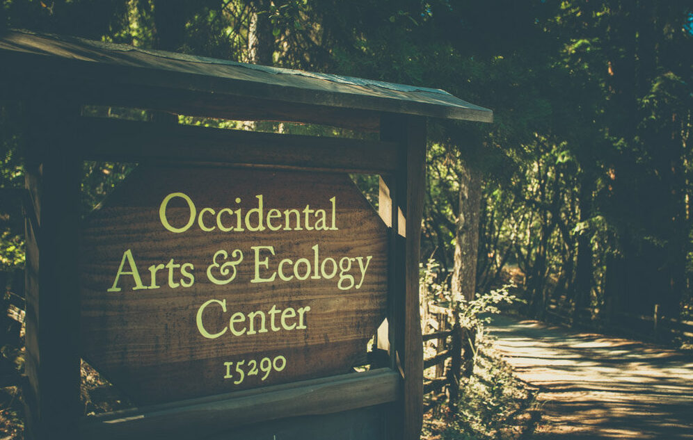 Things to do in Occidental, CA