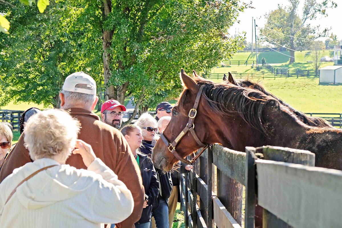 things to do in Georgetown, KY