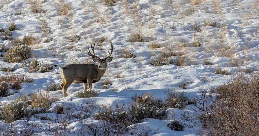 Things to do in Douglas, WY