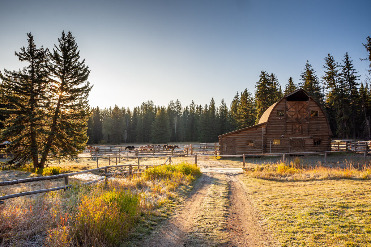 Things to do in Douglas, WY