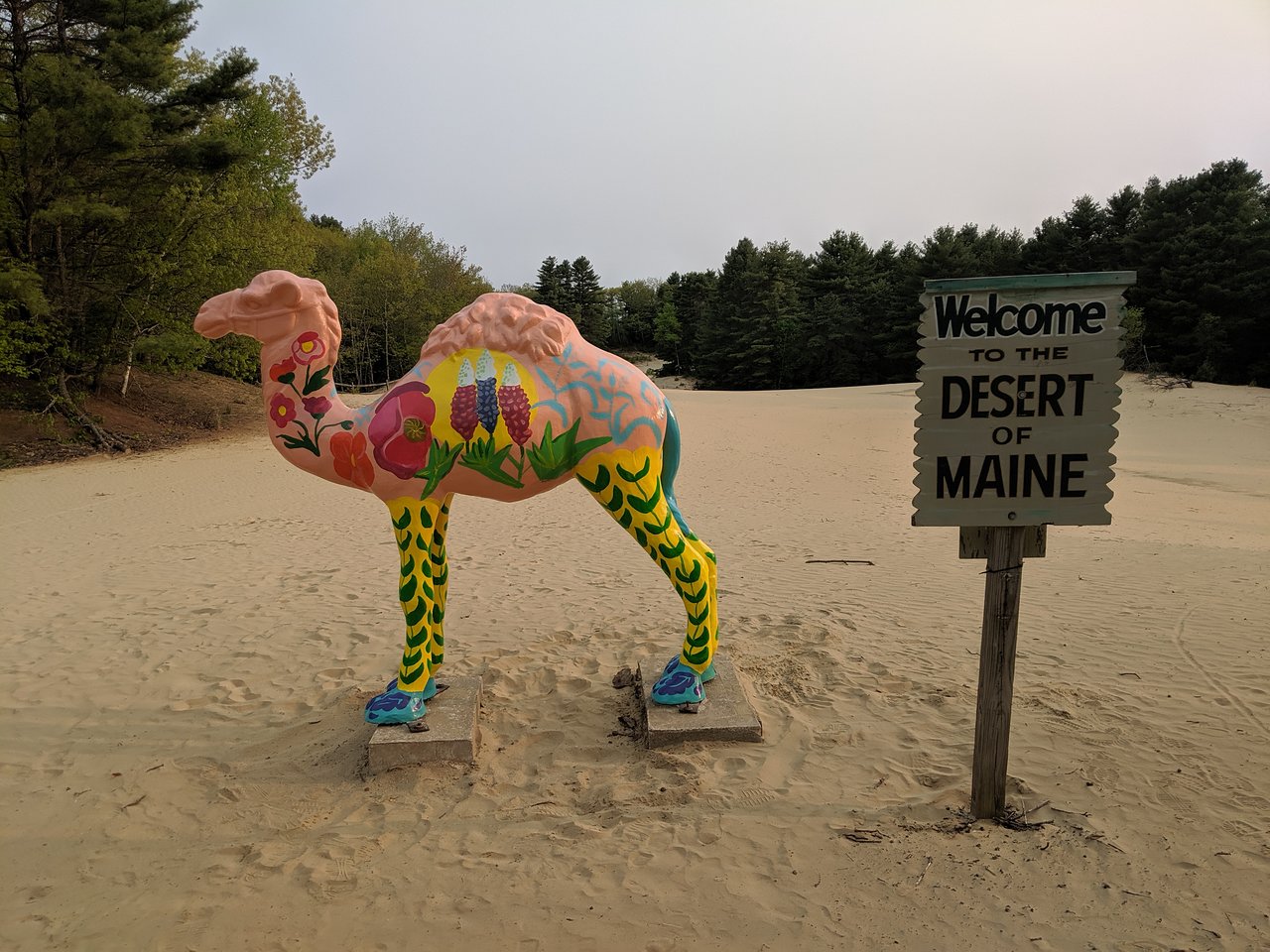 Things to do in Brunswick, ME