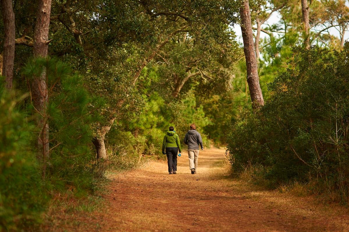 things to do in Hatteras, NC