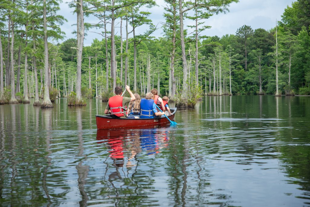 things to do in Camden, SC