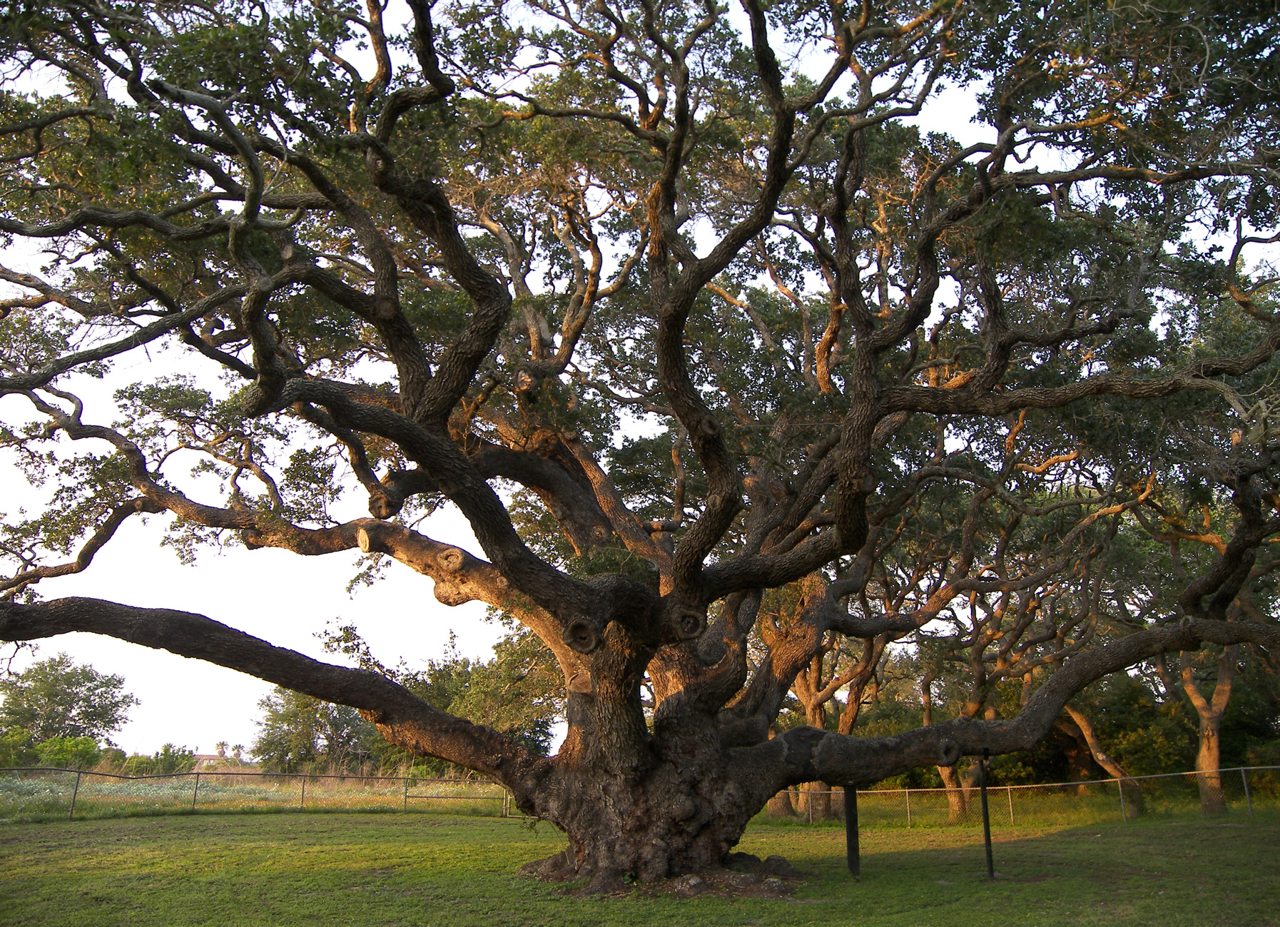 things to do in Rockport, TX