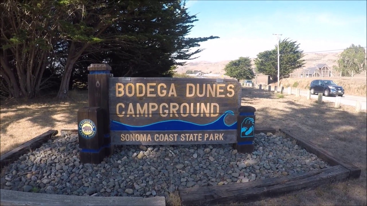 Things to do in Bodega Bay, CA