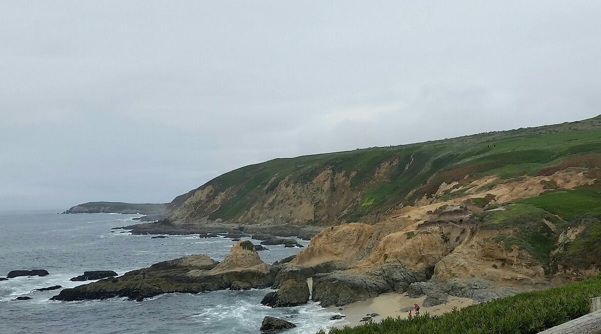 Things to do in Bodega Bay, CA