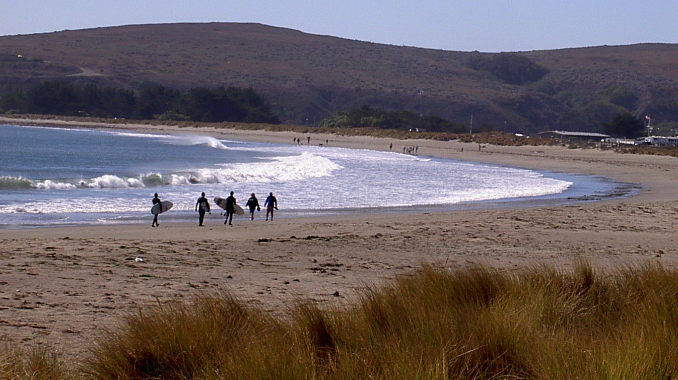 Things to do in Bodega Bay, CA 