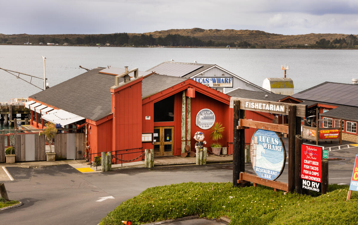 Things to do in Bodega Bay, CA