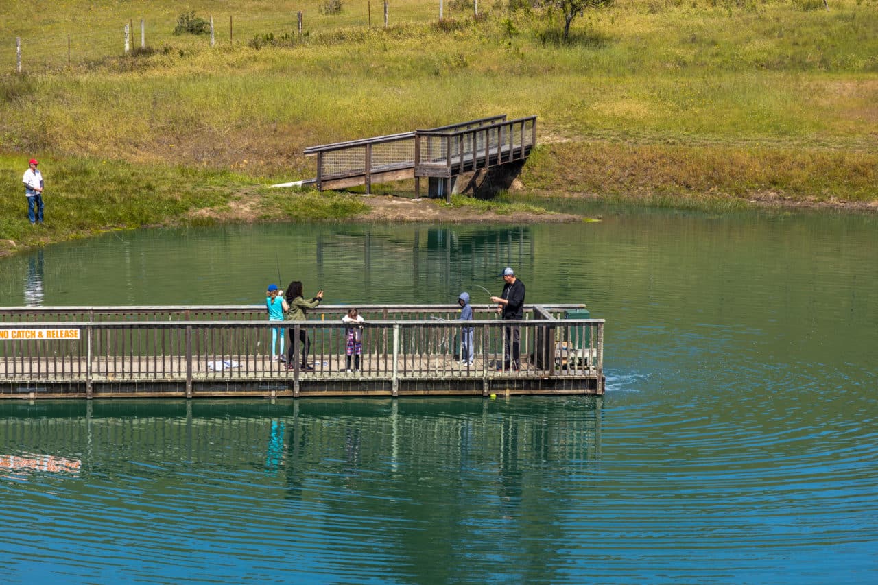 Things to do in Bodega Bay, CA