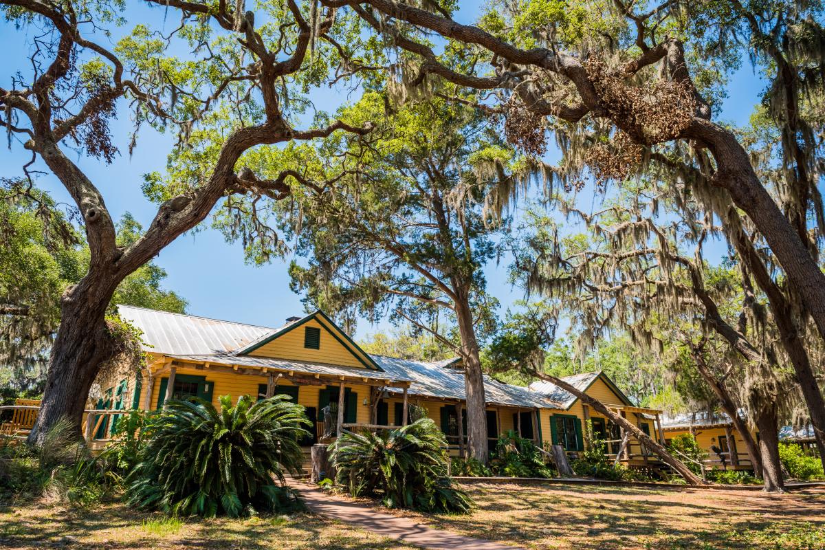 Things to do in St. Simons Island, GA