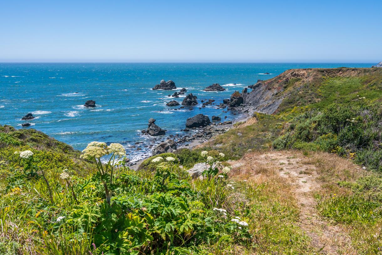 Things to do in Bodega Bay, CA