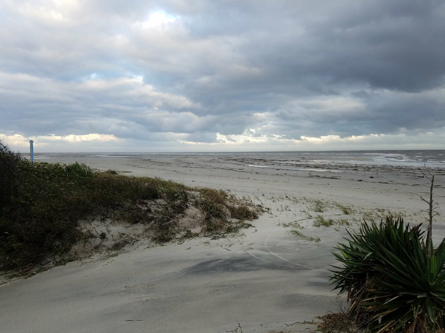 Things to do in St. Simons Island, GA