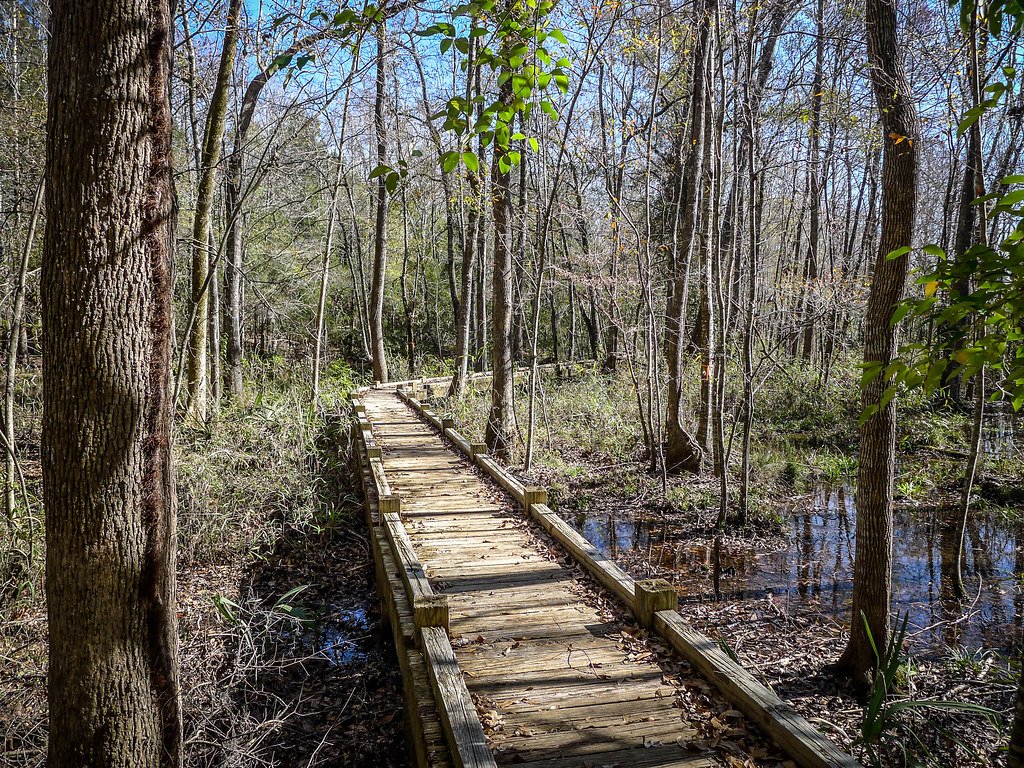 Things to do in Moncks Corner, SC