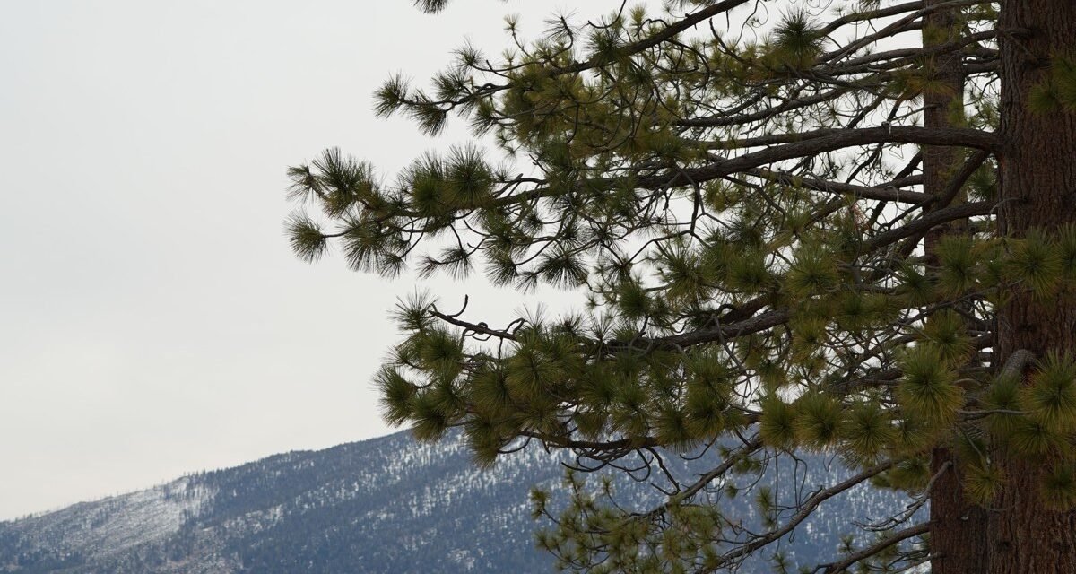 7 Days at Lake Tahoe: A Shore-by-Shore Summer Itinerary Built Around Beating the Crowds (2026)