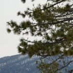 7 Days at Lake Tahoe: A Shore-by-Shore Summer Itinerary Built Around Beating the Crowds (2026)