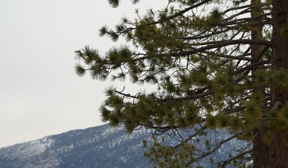 7 Days at Lake Tahoe: A Shore-by-Shore Summer Itinerary Built Around Beating the Crowds (2026)