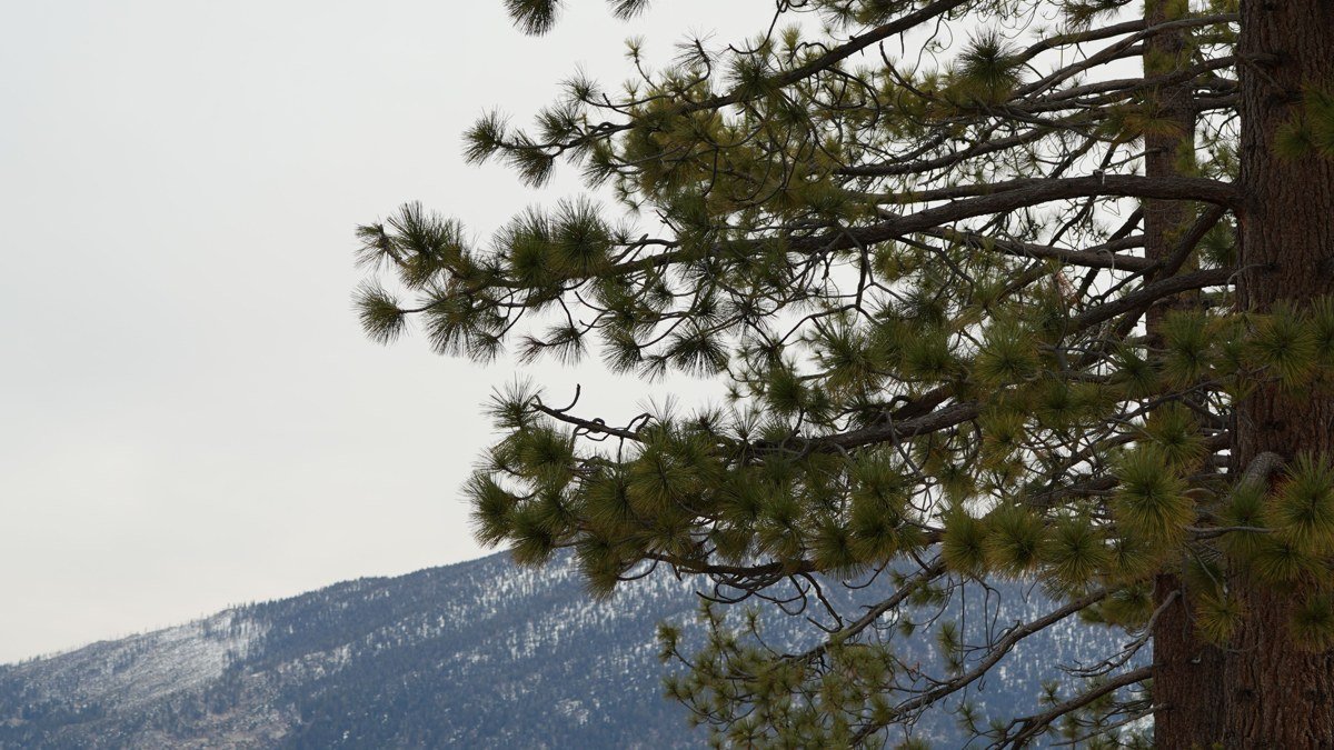 7 Days at Lake Tahoe: A Shore-by-Shore Summer Itinerary Built Around Beating the Crowds (2026)