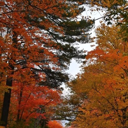 5 Days in Maine: A Fall Itinerary for Leaf Peepers Who Also Love Lobster Rolls