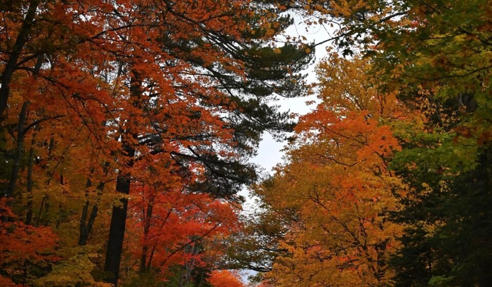5 Days in Maine: A Fall Itinerary for Leaf Peepers Who Also Love Lobster Rolls