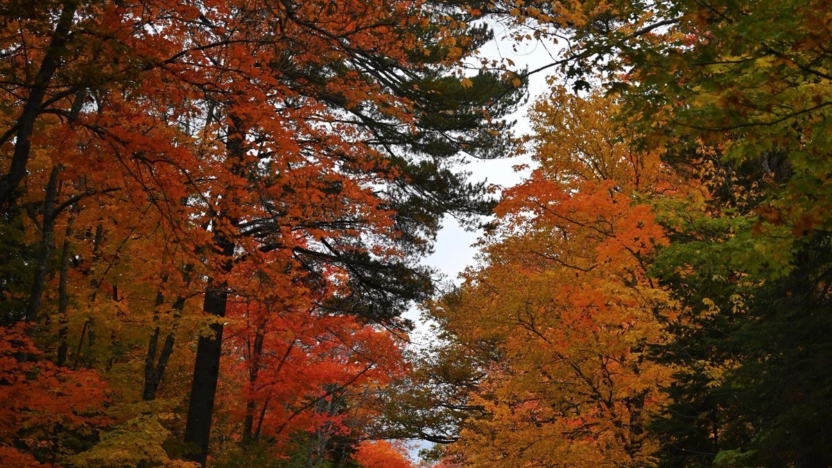 5 Days in Maine: A Fall Itinerary for Leaf Peepers Who Also Love Lobster Rolls