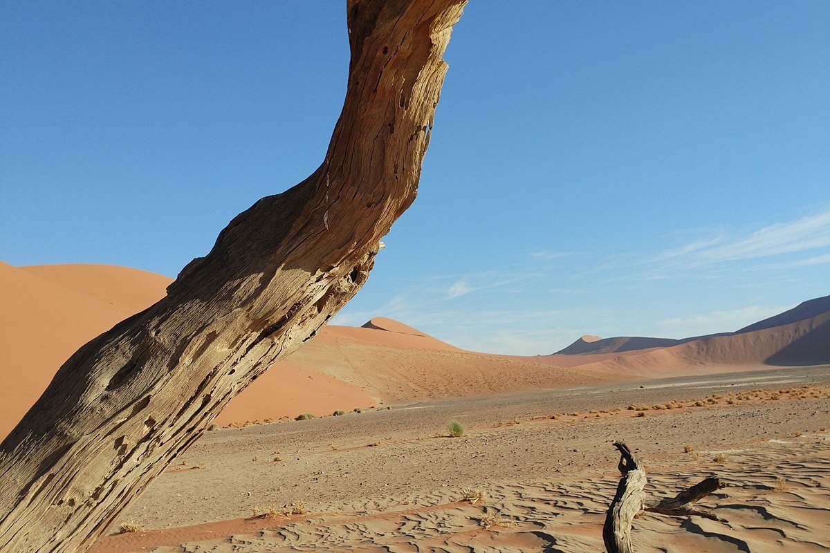 Sossusvlei Namibia red sand dunes dead camelthorn trees dawn orange light