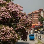 Angel Falls & Gran Sabana: A Focused 7-Day Venezuela Itinerary