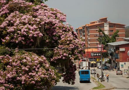 Angel Falls & Gran Sabana: A Focused 7-Day Venezuela Itinerary