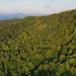 Asheville in May: What the Weather's Really Like (and How to Plan Around It)