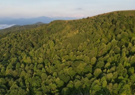 Asheville in May: What the Weather's Really Like (and How to Plan Around It)