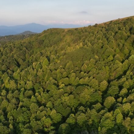Asheville in May: What the Weather's Really Like (and How to Plan Around It)