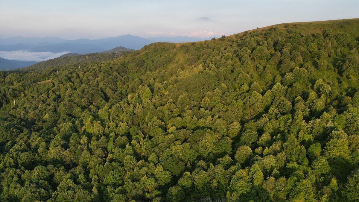 Asheville in May: What the Weather's Really Like (and How to Plan Around It)
