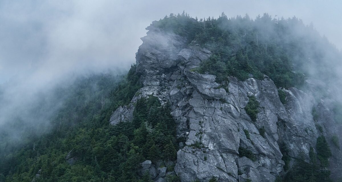 Asheville NC in May: Waterfalls, Wildflowers, and the Best Weeks to Visit