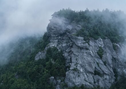Asheville NC in May: Waterfalls, Wildflowers, and the Best Weeks to Visit