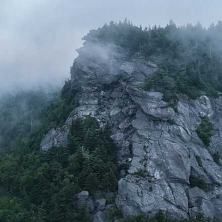 Asheville NC in May: Waterfalls, Wildflowers, and the Best Weeks to Visit