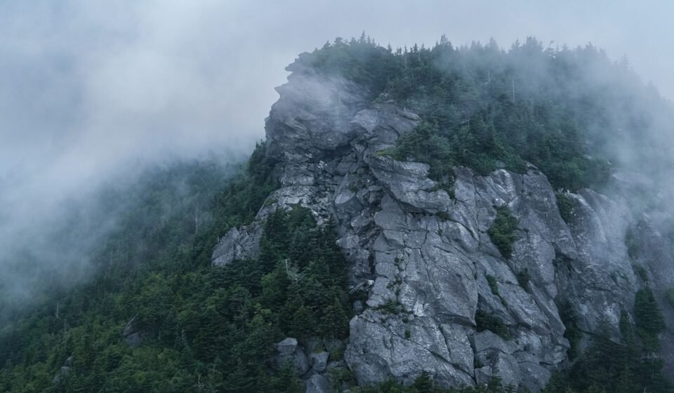 Asheville NC in May: Waterfalls, Wildflowers, and the Best Weeks to Visit