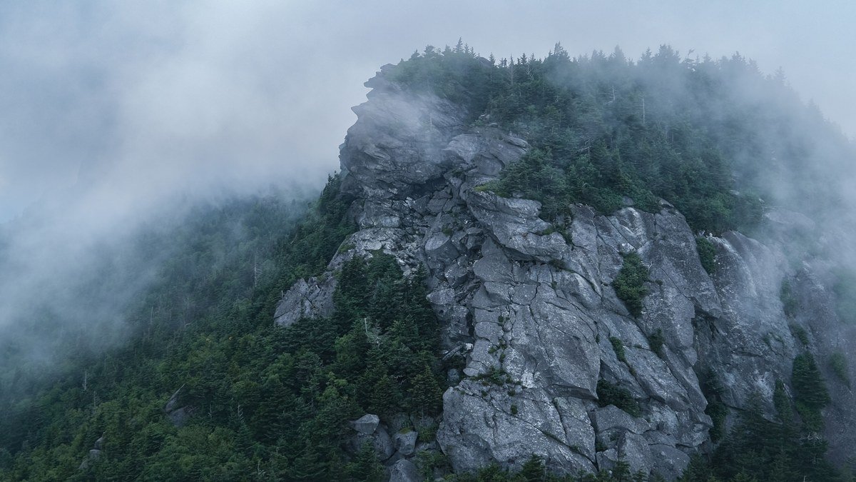Asheville NC in May: Waterfalls, Wildflowers, and the Best Weeks to Visit