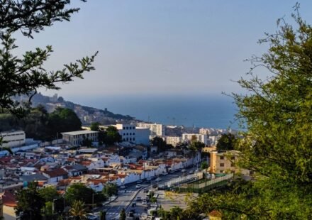 The Perfect 7-Day Algeria Itinerary: A Day-by-Day Tourist Travel Plan for First-Time Visitors (Sahara, Algiers & Roman Ruins)