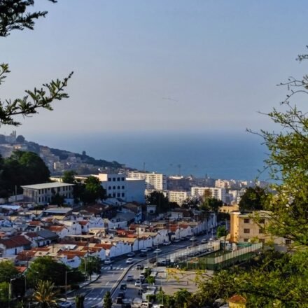 The Perfect 7-Day Algeria Itinerary: A Day-by-Day Tourist Travel Plan for First-Time Visitors (Sahara, Algiers & Roman Ruins)