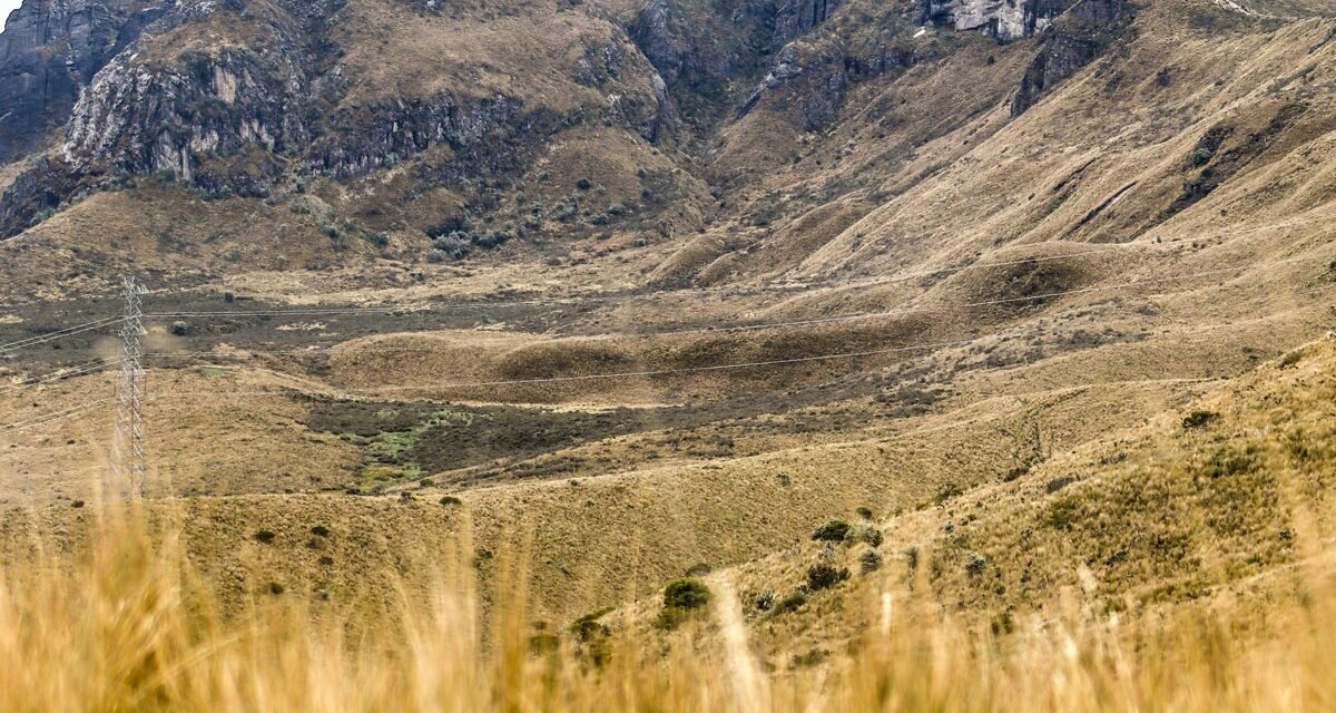 The Perfect 7-Day Ecuador Itinerary: A Day-by-Day Tourist Travel Plan for First-Time Visitors (Galápagos, Quito & Beyond)