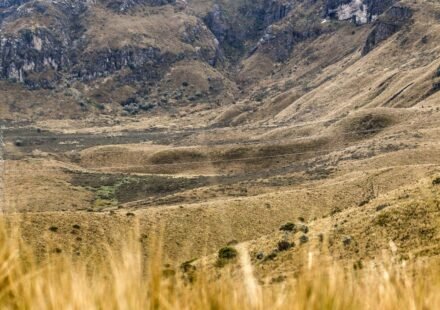The Perfect 7-Day Ecuador Itinerary: A Day-by-Day Tourist Travel Plan for First-Time Visitors (Galápagos, Quito & Beyond)