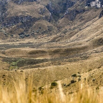 The Perfect 7-Day Ecuador Itinerary: A Day-by-Day Tourist Travel Plan for First-Time Visitors (Galápagos, Quito & Beyond)