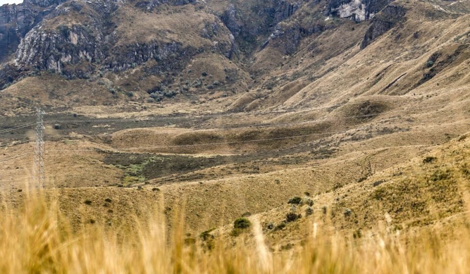 The Perfect 7-Day Ecuador Itinerary: A Day-by-Day Tourist Travel Plan for First-Time Visitors (Galápagos, Quito & Beyond)