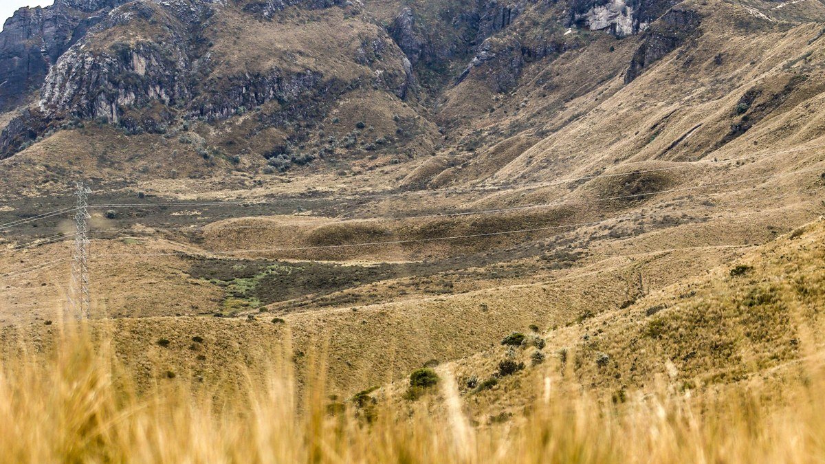 The Perfect 7-Day Ecuador Itinerary: A Day-by-Day Tourist Travel Plan for First-Time Visitors (Galápagos, Quito & Beyond)