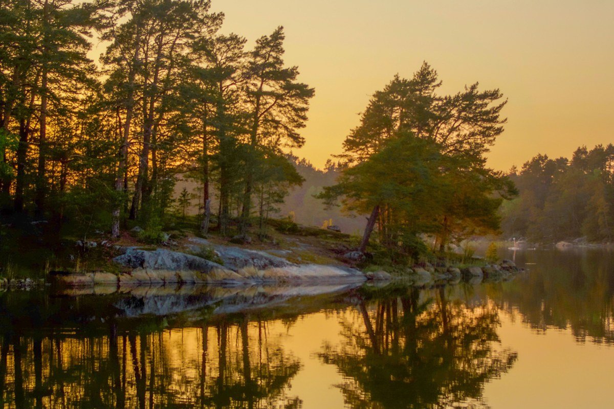 Rangeley Lake Maine sunrise mist over water with pine forest reflection