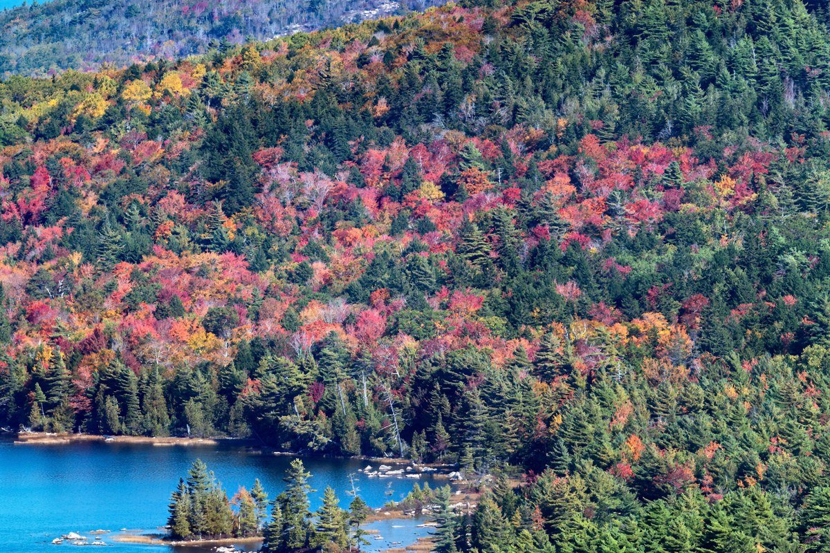 Echo Lake Acadia National Park Southwest Harbor Maine summer swimming cliff
