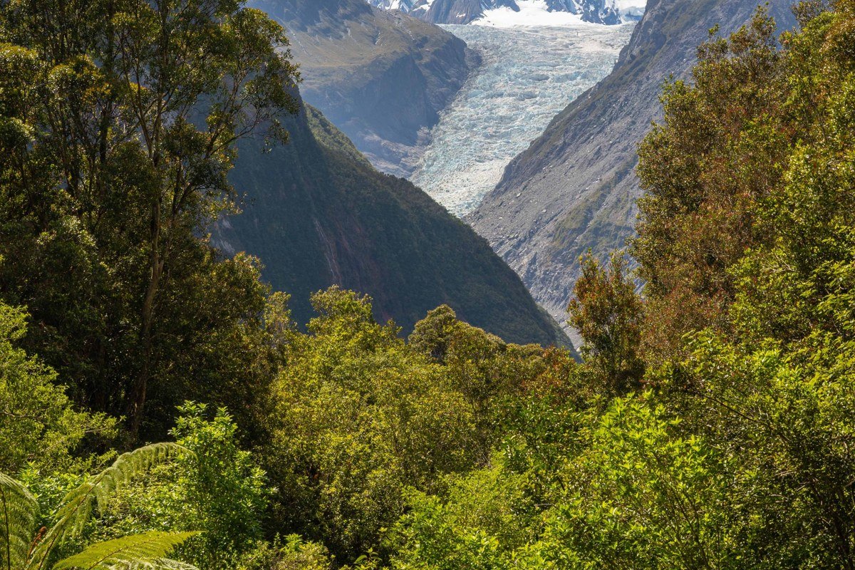 Fox Glacier terminal face ice cave New Zealand rainforest foreground